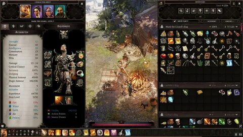Divinity original sin 2 билд некроманта
