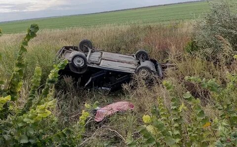 Погода гисметео елань волгоградская обл