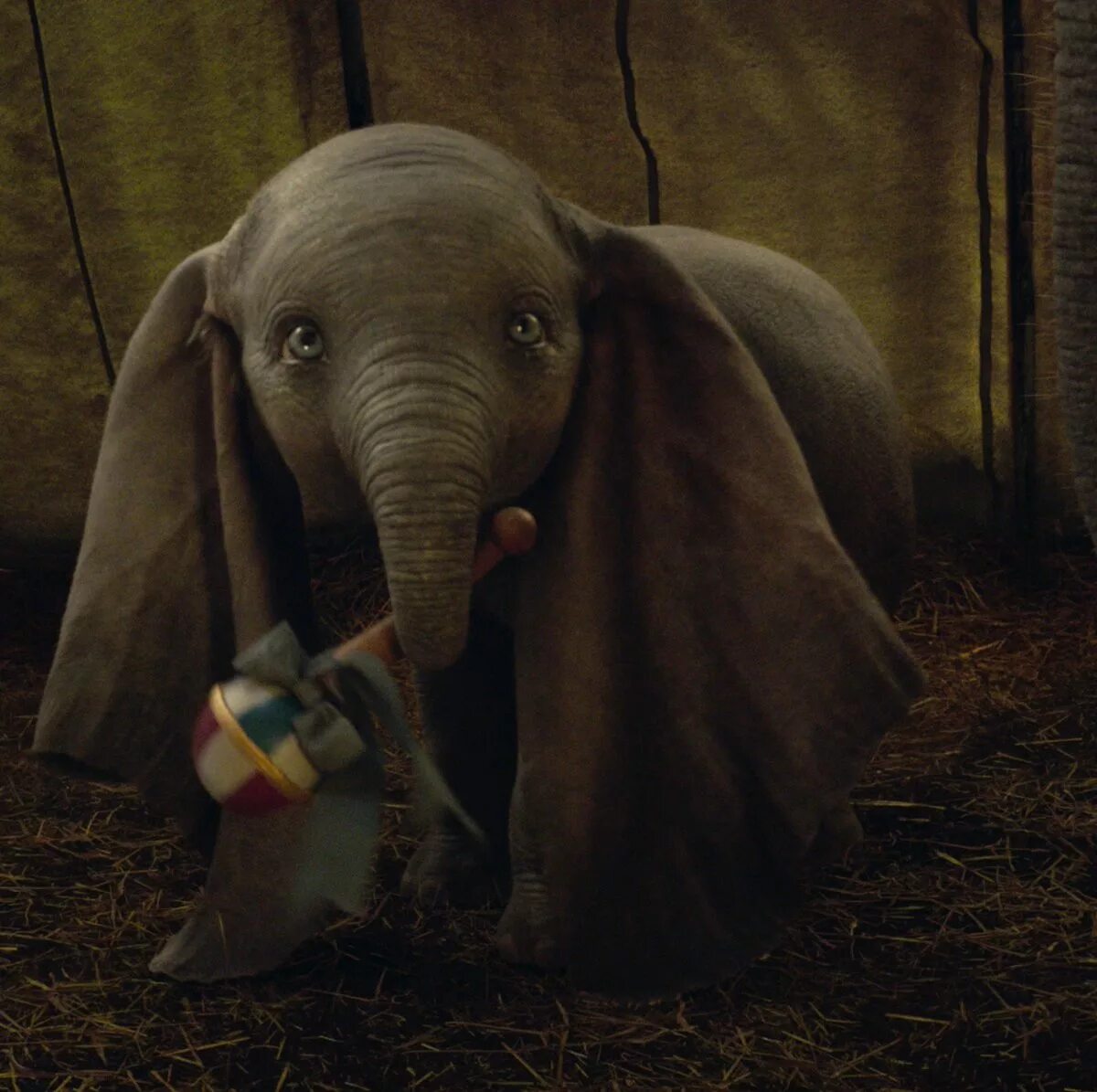 Дамбо Ушастый Слоненок. Слон с большими ушами.