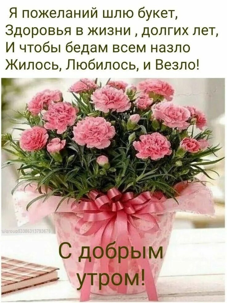 Доброе утро желаю здоровья и хорошего. Цветы с добрыми пожеланиями. цветы поздравления. поздравление с добрым утром. поздравление с добрым утром и здоровьем.