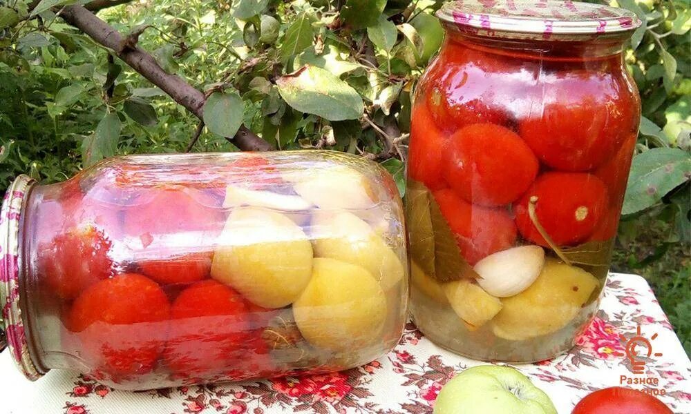 Яблоко помидор. Помидоры с яблоками консервация. Рецепт помидоры с яблоком на зиму. Маринованные томаты с яблоками. Аджика из помидор с яблоками.
