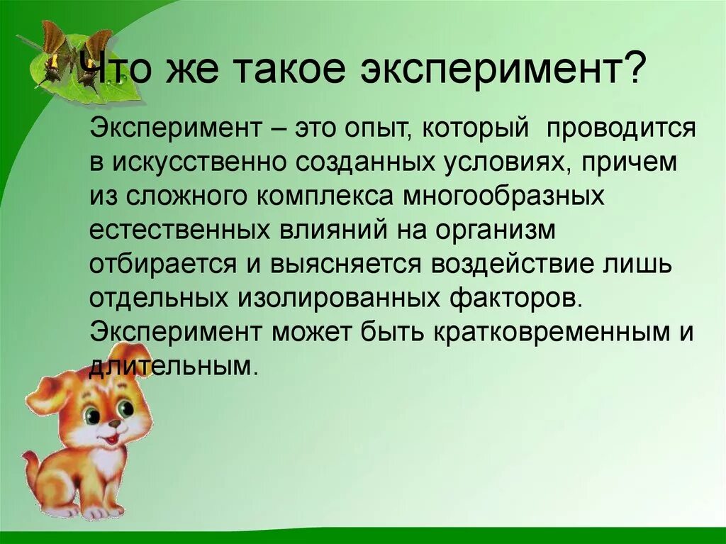 Что такое эксперимент