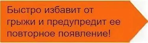 Лечение грыжи мазями. Трауфрил от грыжи. трауфрил от грыжи фото.