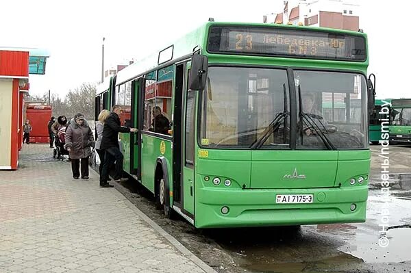 Пригородные автобусы жлобин