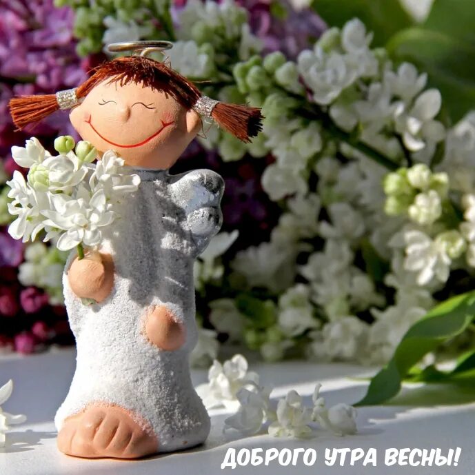 Доброго утра и позитивных эмоций. Радости в каждом новом дне. маленькие радости с утра. подарить весну.