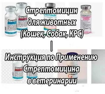 Стрептомицин инструкция