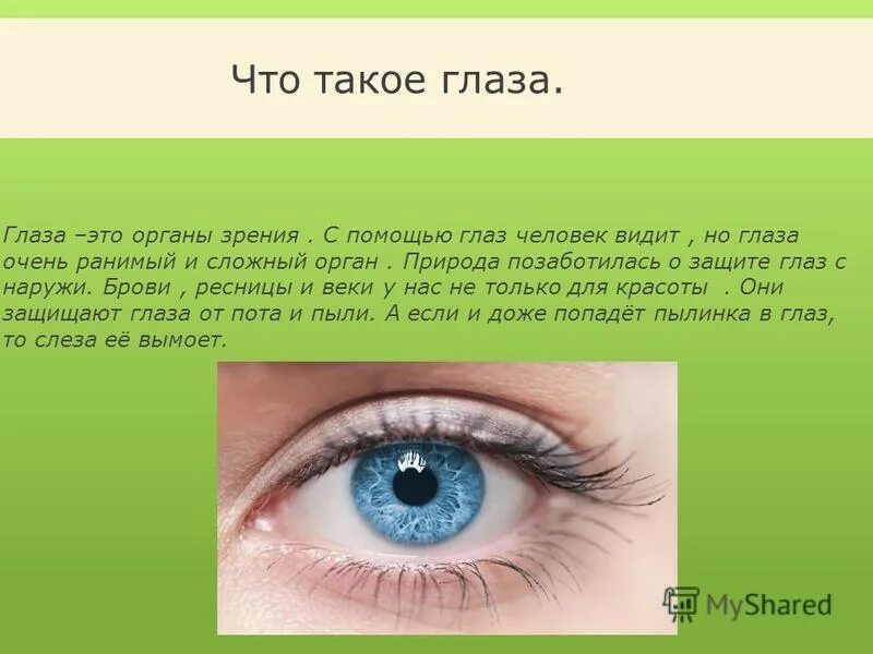 Органы чувств глаза 9 класс. Сообщение о глазах. Доклад зрение человека. Доклад про глаза. Глаза ребенка.