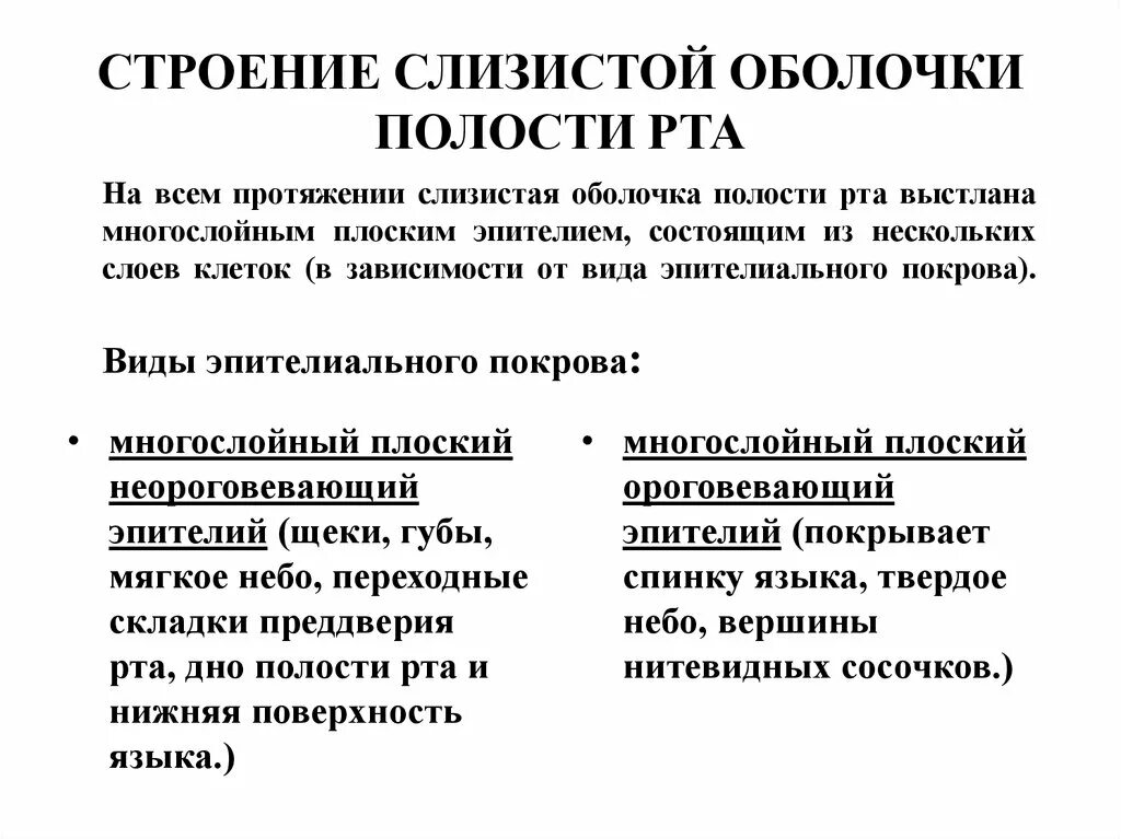 Особенности строения слизистой ротовой полости. Строение и функции слизистой оболочки полости рта. Строение слизистой оболочки ротовой полости. Особенности строения слизистой оболочки полости рта. Роль слизистых оболочек