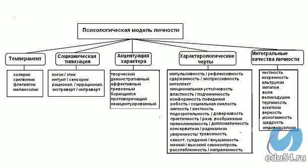 наследственность темперамента. типы темперамента могут ли меняться. виды темперамента. темперамент иллюстрации. наследственность темперамента.