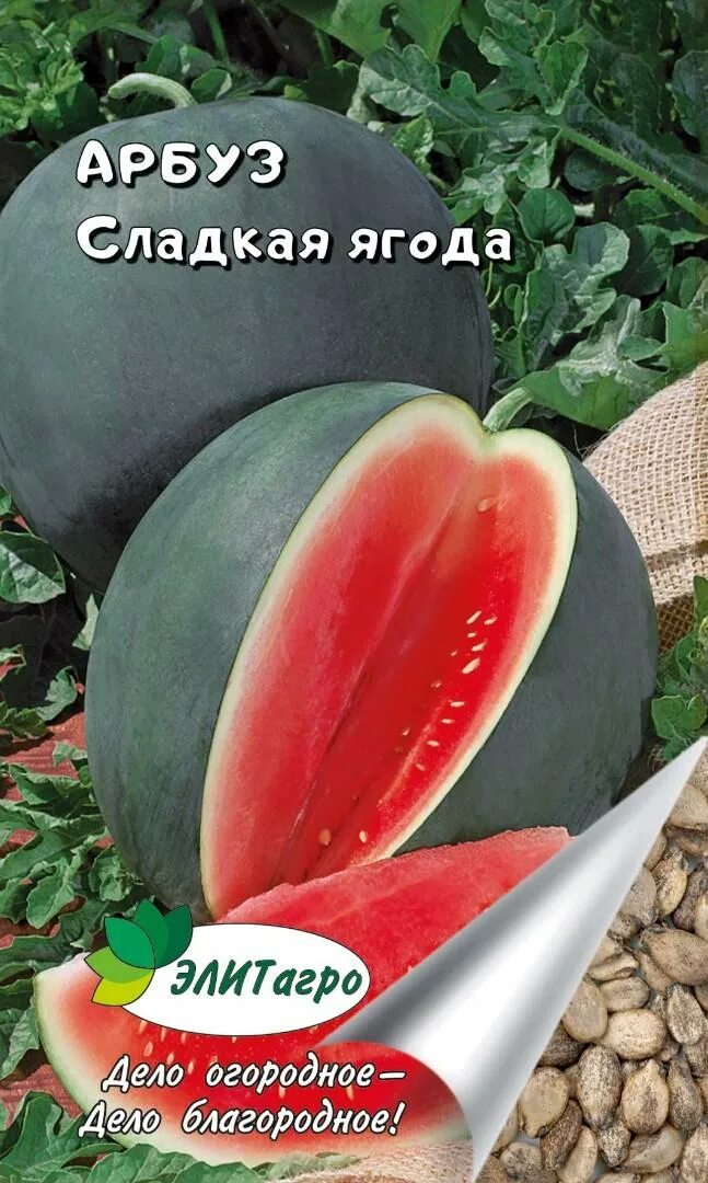Арбуз Сахарный малыш: описание сорта, фото, выращивание и отзывы