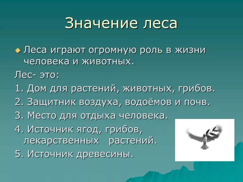 Значение class. Значение леса в жизни человека. Значимость леса для человека. Значение лесов в жизни человека. Лес роль в жизни человека.