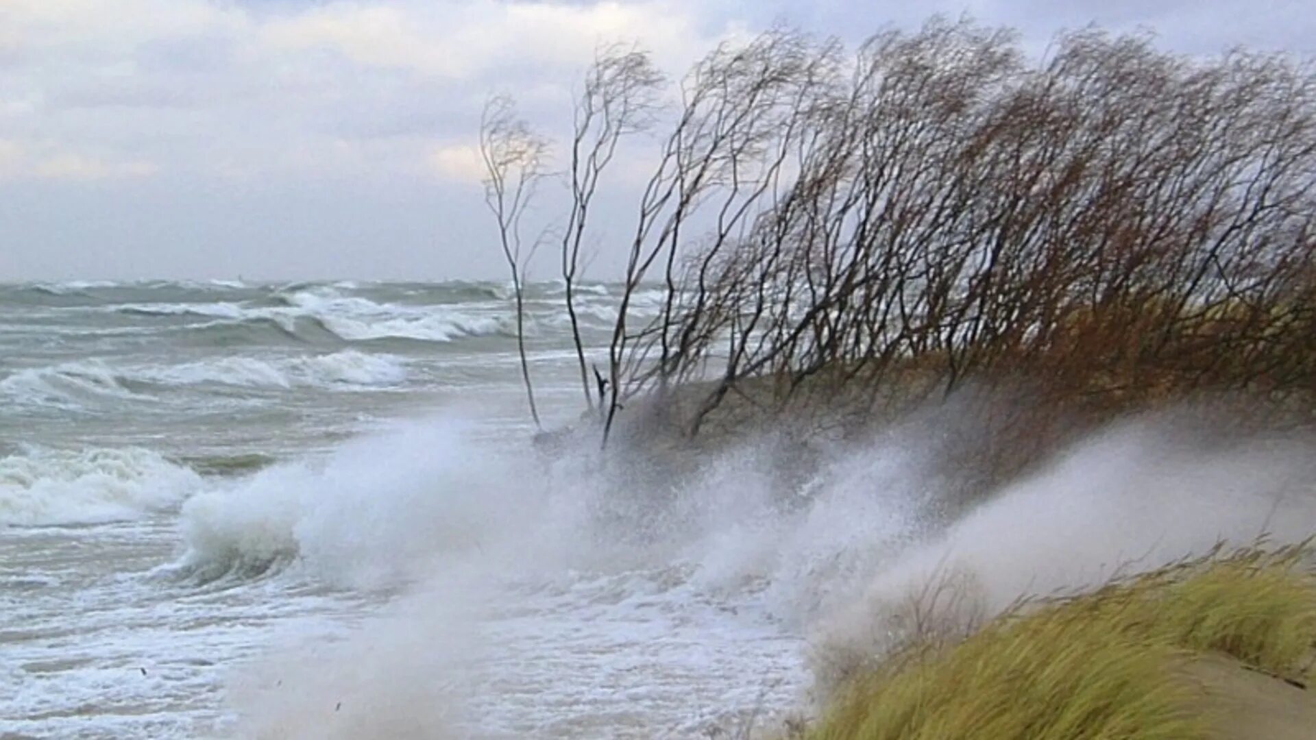 Море в непогоду. Сильный шторм. Море шторм. Ветер на море.