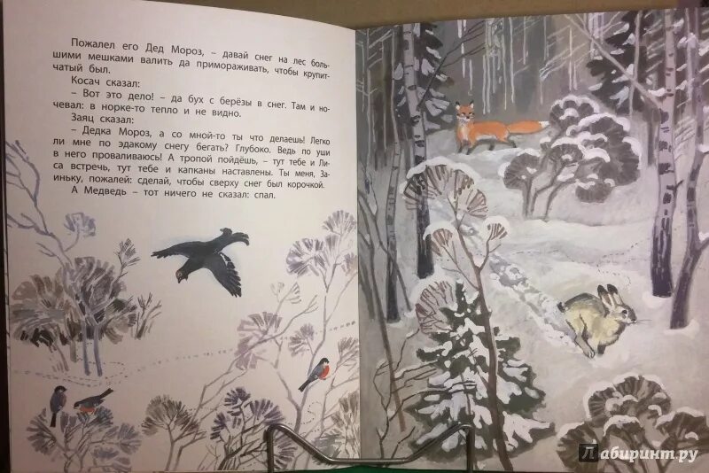 Бианки зимний теплый день на земле. Бианки зинька. Бианки синичкин календарь февраль. Бианки лес зимой. Бианки зимний теплый день на земле.