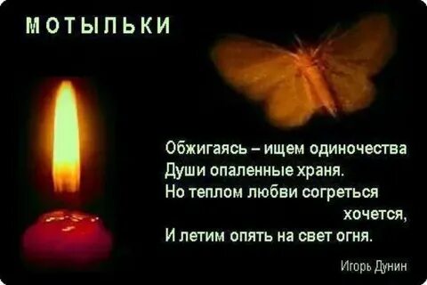 Все мотыльки летят на свет стих