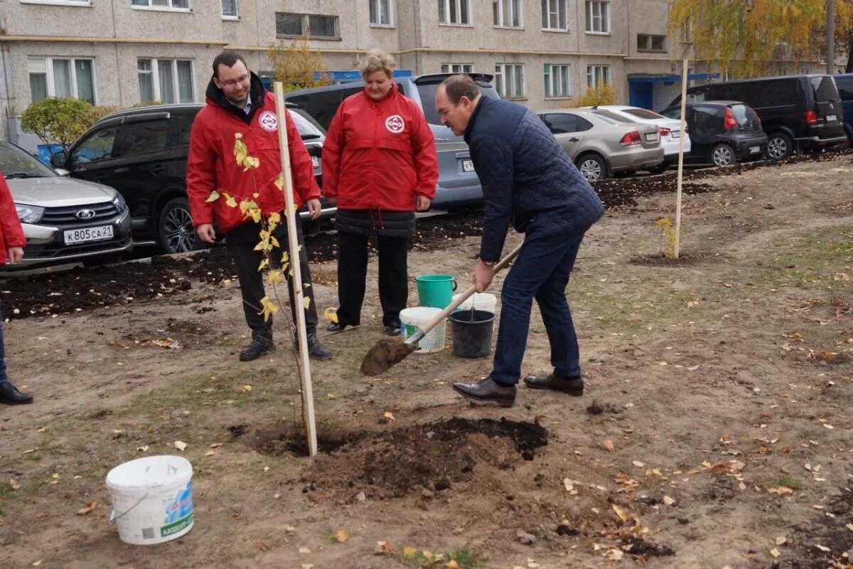 Контроль благоустройства территории. Проект благоустройства города. городской двор. а также благоустройства двора. городская среда.