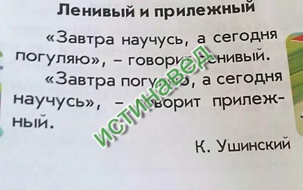 Ленивый и прилежный. Предложения про ленивого и прилежного. Предложение со словом прилежный. Предложение со словом прилежный для 1 класса. Прилежный как пишется