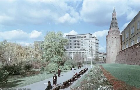 Старые сады москва