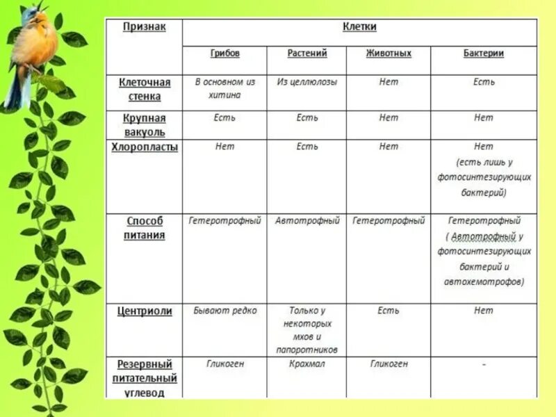 Сравнение бактерий грибов и растений. Цитология наука о клетке таблица. Органоиды бактерий растений грибов животных. Таблица строение клетки 5 класс биология Пасечник. Клетка растения таблица.