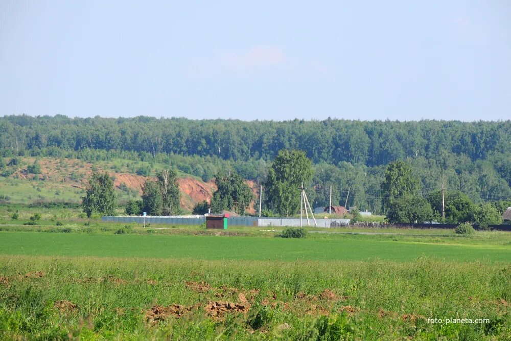 Погода в пестриково