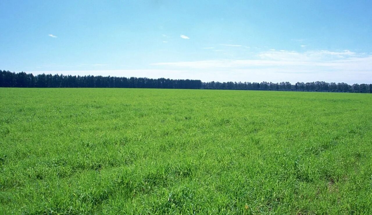 Участок земли. Земли за границами населенных пунктов. Земля сельхозназначения под ижс. Поселок сельхоз свердловская область. Фото участков.