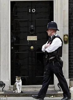 Policeman walk