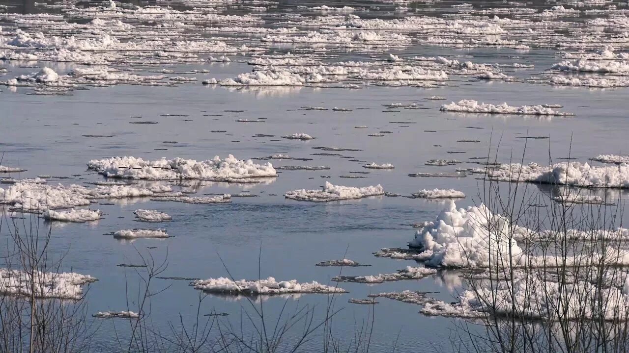 Ледоход видео для детей. Енисей река ледоход. Ледоход на Енисее в Дудинке. Ледоход на Волхове. Ледоход Якутск.