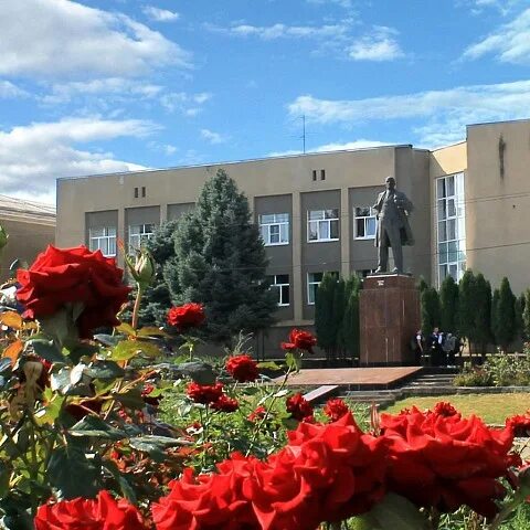 Г михайловск номер. Михайловск Ставропольский край. Михайловск Шпаковский район. Михайловское Ставропольский край. Площадь города Михайловск Ставропольский край.