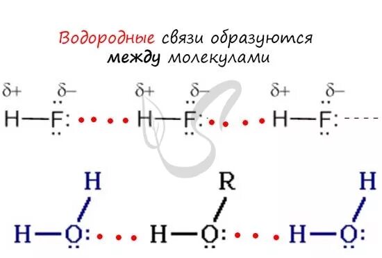 Hcl hf h2o. Схема образования водородной связи nh3. Водородная связь ch3oh схема. Водородная связь между h2o. Водородная связь между молекулами воды схема.