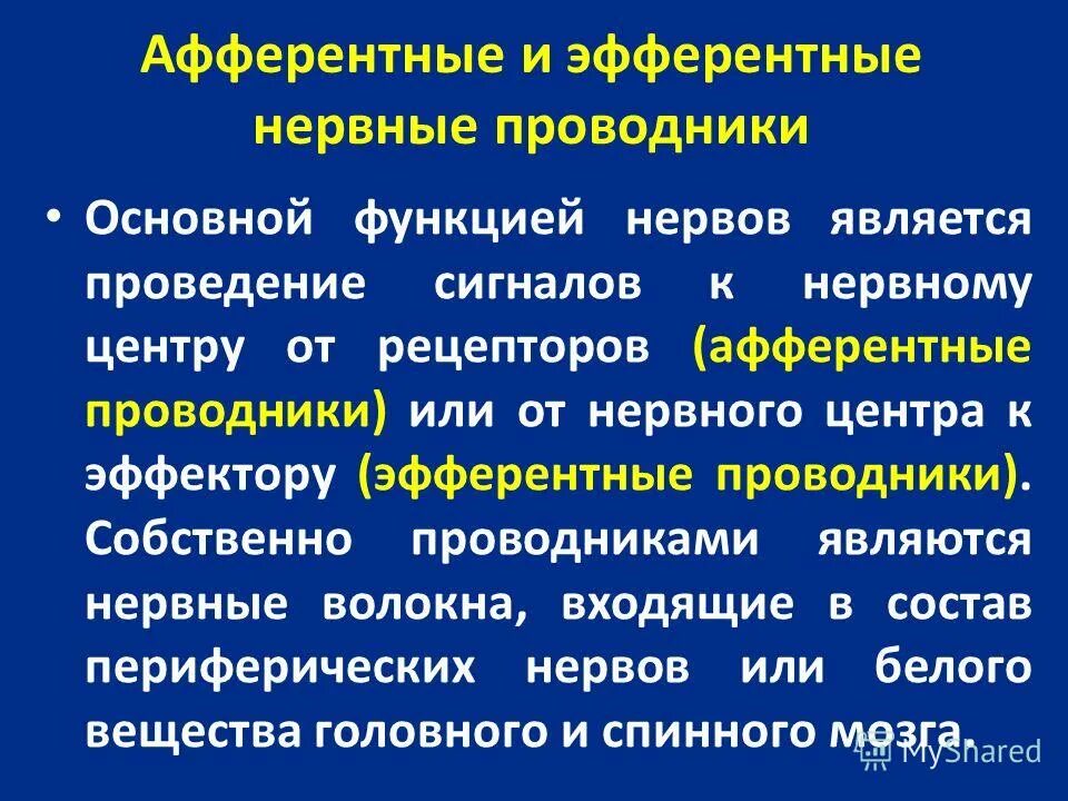 Функции нервных проводников. Нервных проводников это. Нервное волокно. Функции нервных проводников. Тип нервного волокна и функции.