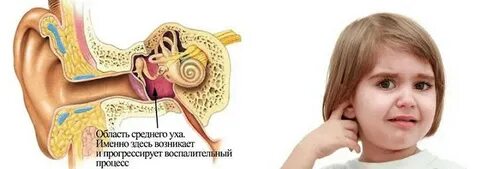 Почему болит ухо когда трогаешь