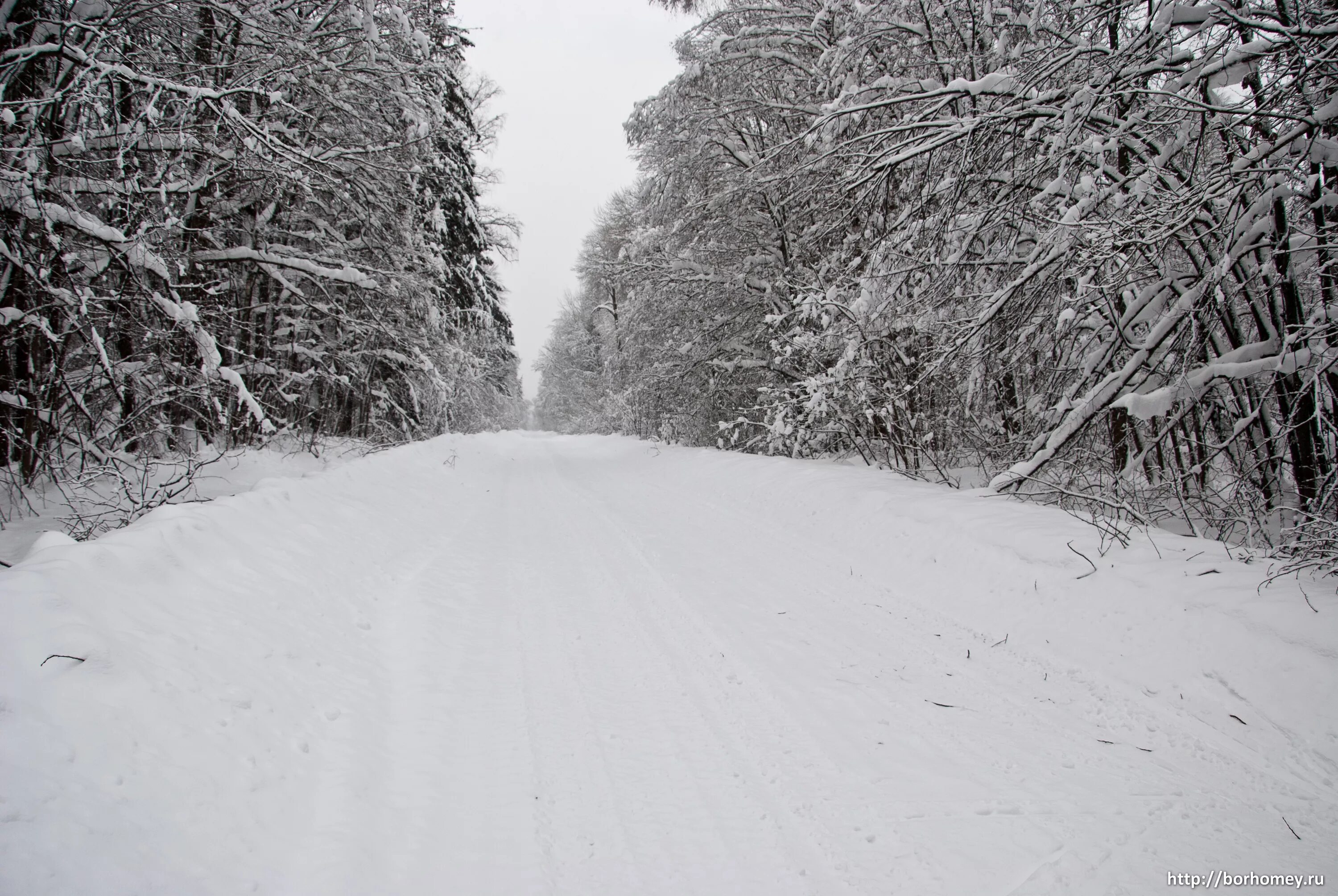 февраль граница зимы и весны. межа зимой. что такое межа граница рубеж по окружающему миру 2 класс. февраль межа граница рубеж. февраль граница между зимой и весной.