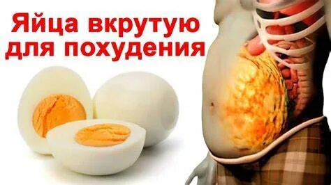 Яичное похудение отзывы