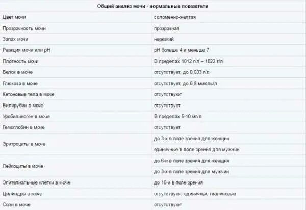 Общий анализ мочи реакция. Анализ мочи АСК норма у мужчин. АСК В анализе мочи норма у ребенка. АСК мочи расшифровка у взрослых норма. Анализ мочи показатели расшифровка АСК.