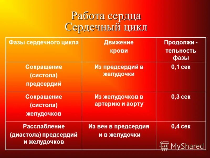 Фазы работы сердца время. Фазы работы сердца время