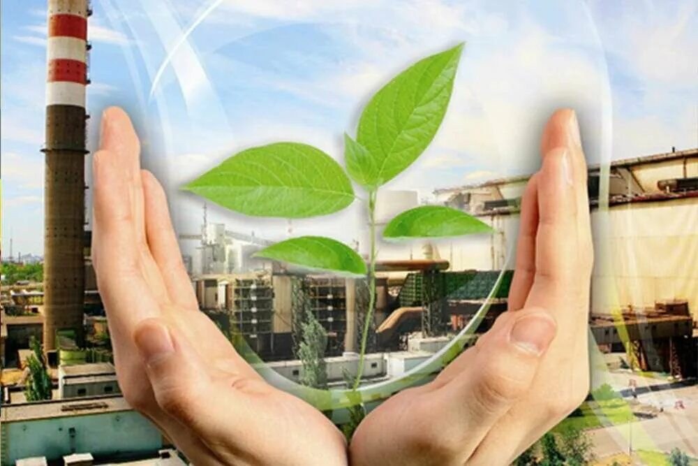 Образование земельных организаций. Экология. Экологическая безопасность. Защита окружающей среды. Защита экологии и окружающей среды.