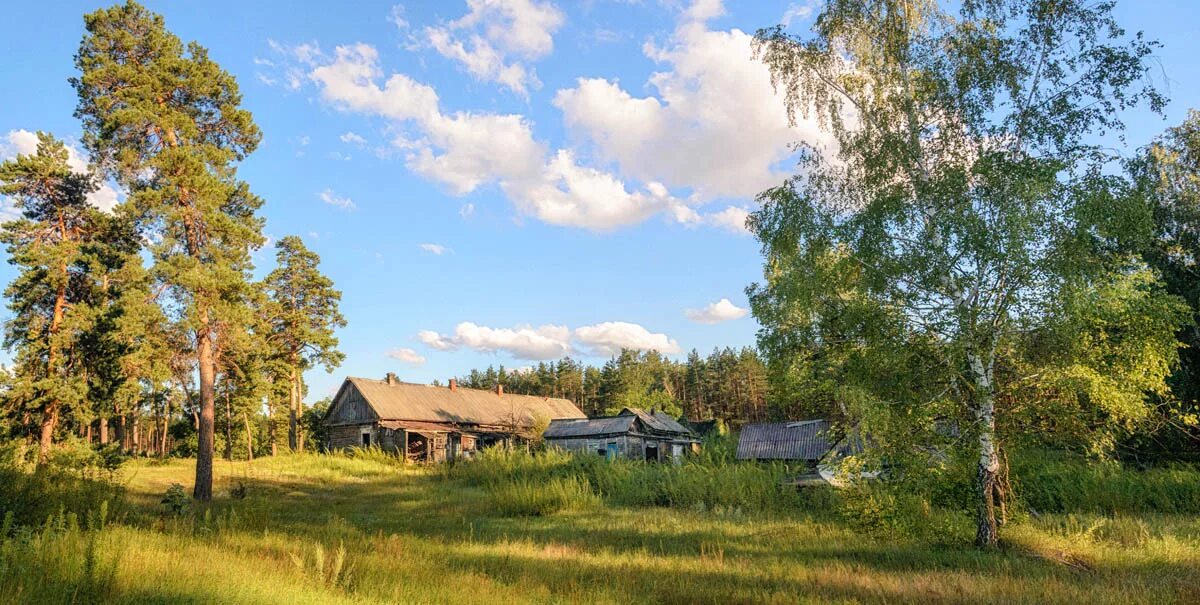 Природа. Край родной Подмосковье. Родимый край. Уголки России.