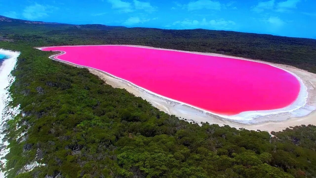 Самые большие водоемы на планете это