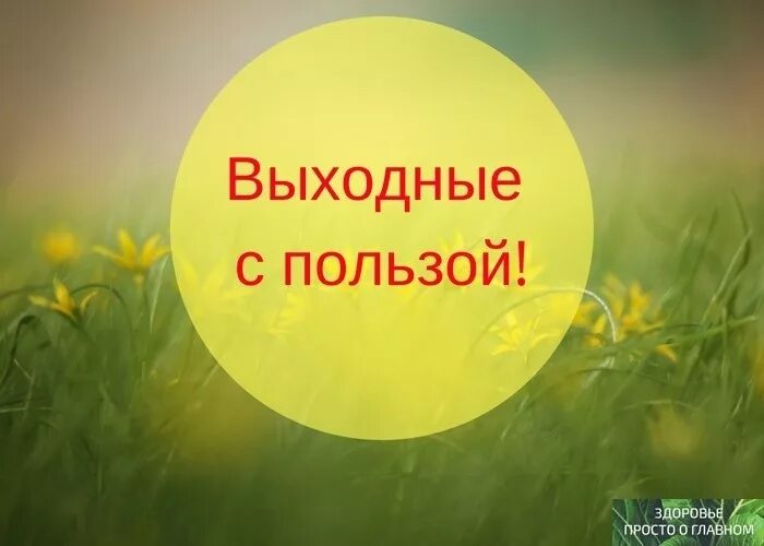 Как выходные. Надпись выходные с пользой. Люди отдыхают на природе. Как провести выходные с пользой. Выходной у женщины.
