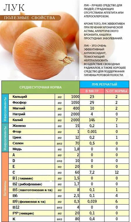 Сколько грамм в луке репчатом