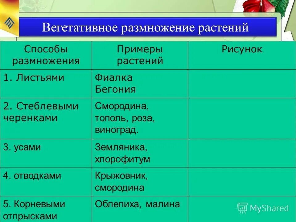 Формы вегетативного размножения примеры. Способы размножения растений таблица. Таблица по биологии 7 класс вегетативное размножение растений. Вегетативное размножение способ размножения таблица. Способы вегетативного размножения растений таблица с примерами.