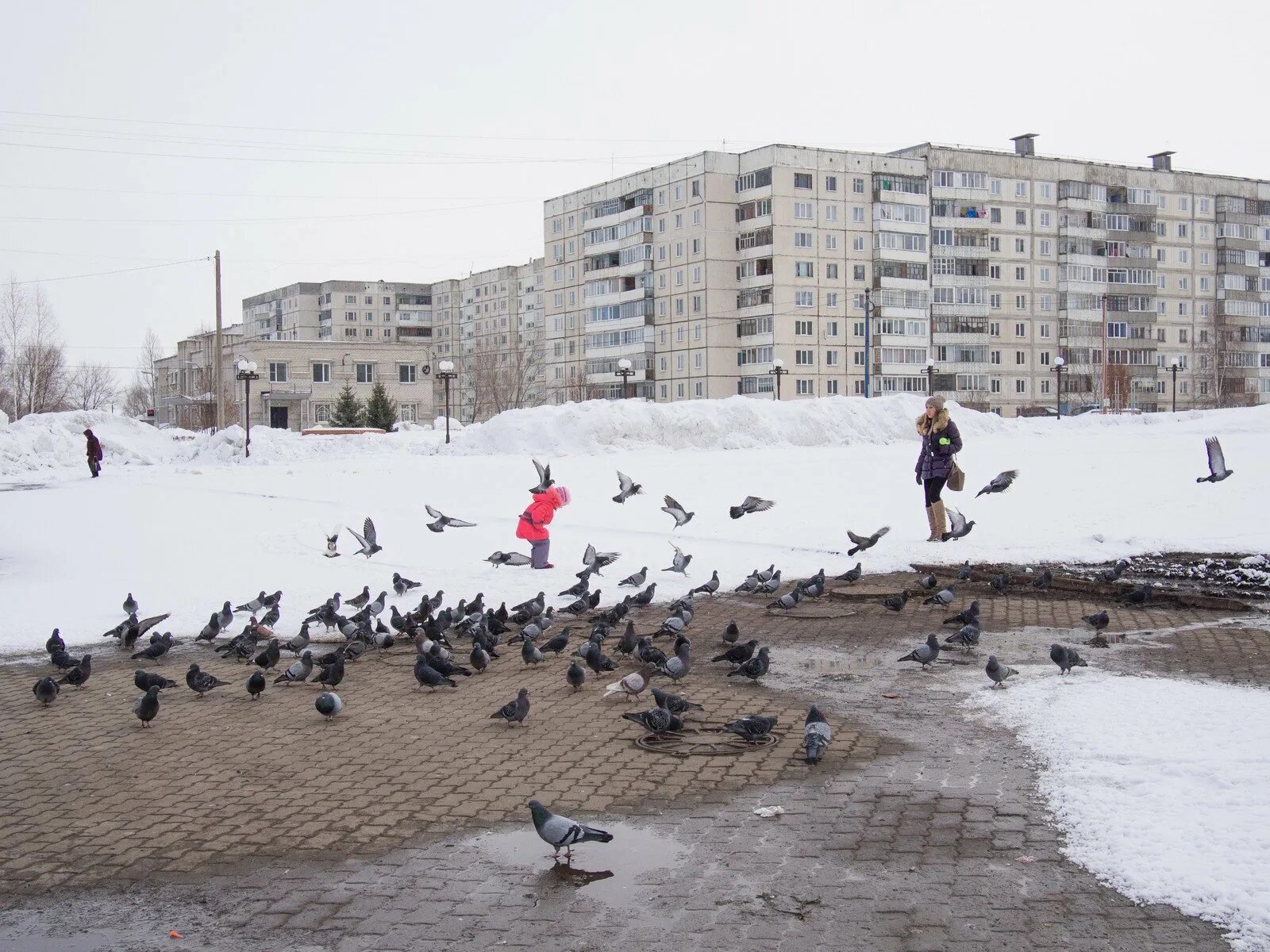 Погода заринск на 10 дней точный прогноз. Заринск город. Заринск Алтайский край. Погода в Заринске.