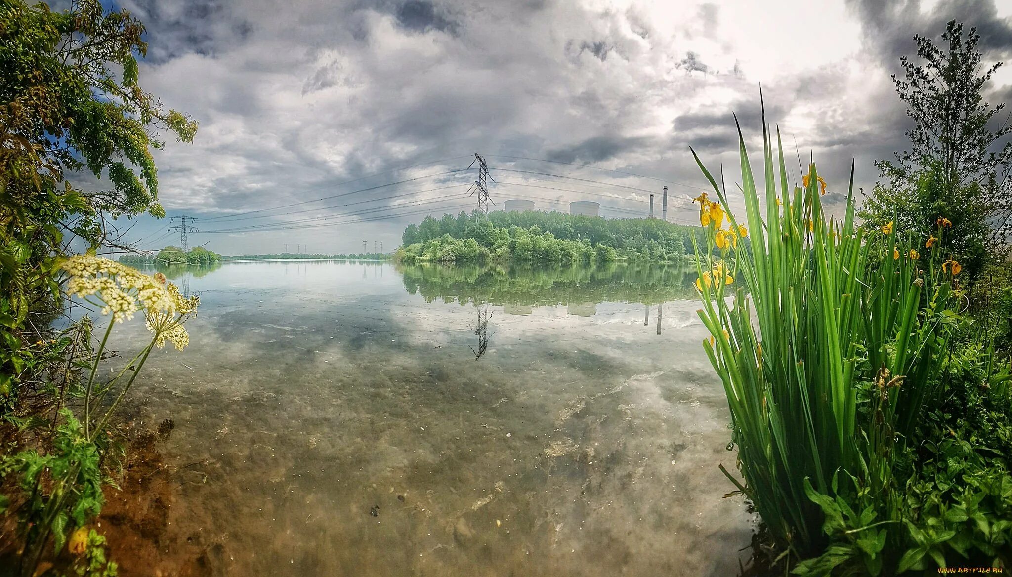 Усинское болото. Тахтинское болото. Озеро Щепкино болото. Тахтинское болото России.