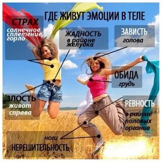 Там где живут чувства
