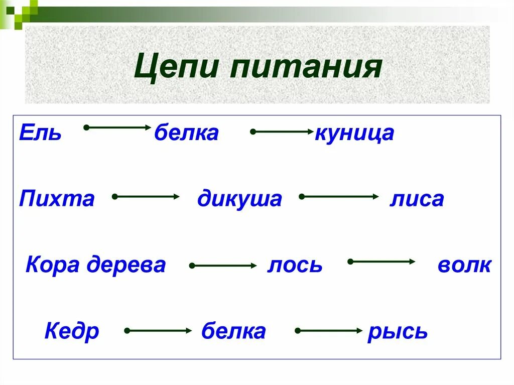 Составьте несколько пищевых цепей. 2-3 Пищевых цепочек. 2 Цепочки питания животных. Цепь питания в лесах России. Природное сообщество лес цепи питания.