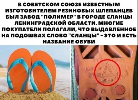 Сланцы откуда название