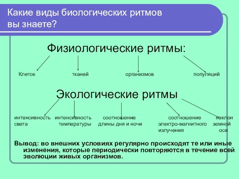 Виды биоритмов человека. Виды биологических ритмов. Биологические ритмы экология. Экологические ритмы примеры. Ритмы живой природы