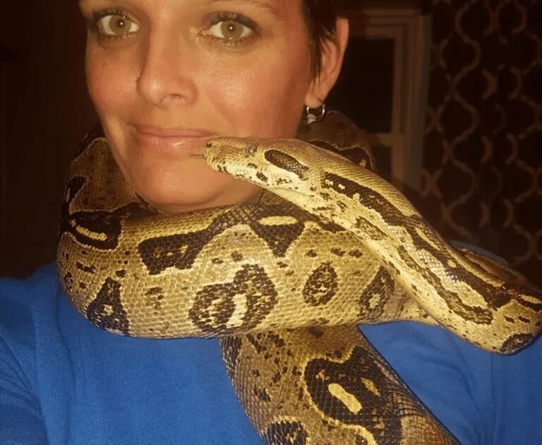 Змея в кулаке. Жаба и змея. Душить змею картинки. Питон карикатура. Жаба и гадюка.