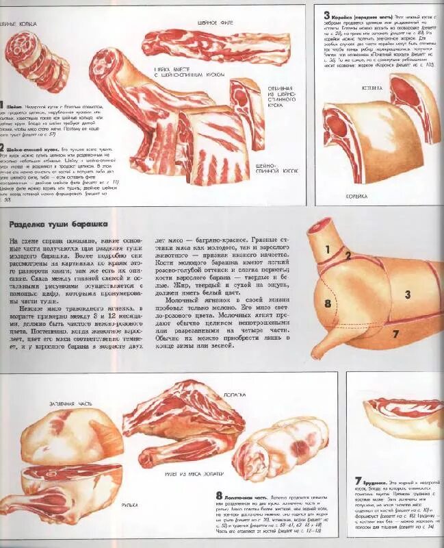 Какую часть баранины берут. Схема разруба туши баранины. Схема разруба баранины. Части туши барана.