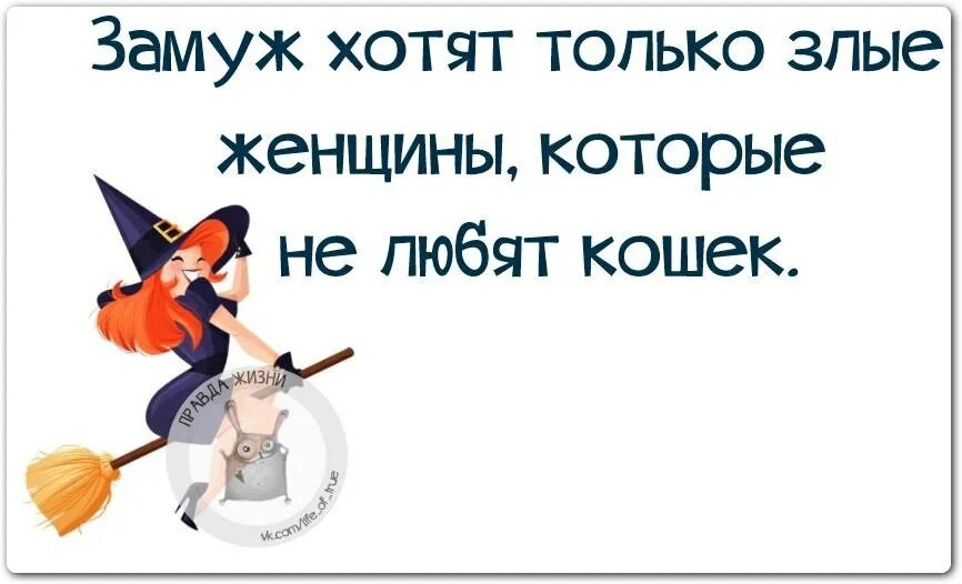 Замуж не собираюсь открытки. Женщина хочет замуж приколы. Замуж хотят только. Замуж выходят только злые женщины которые не любят кошек.