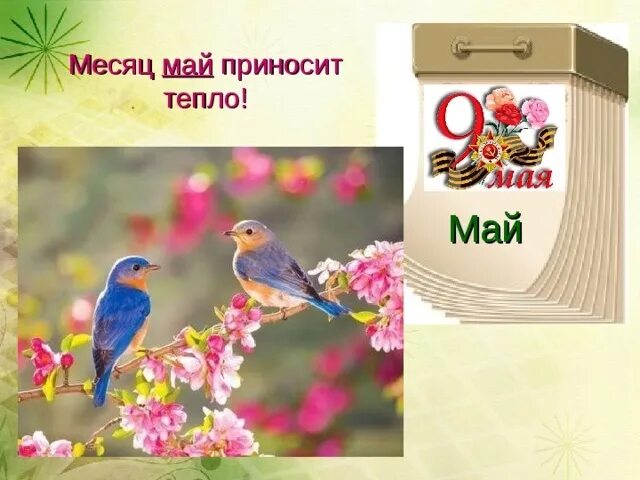 Картинки где тепло. Где же ты тепло. Когда тепло будет картинки. Когда будет тепло картинки прикольные. Юмор в картинках.